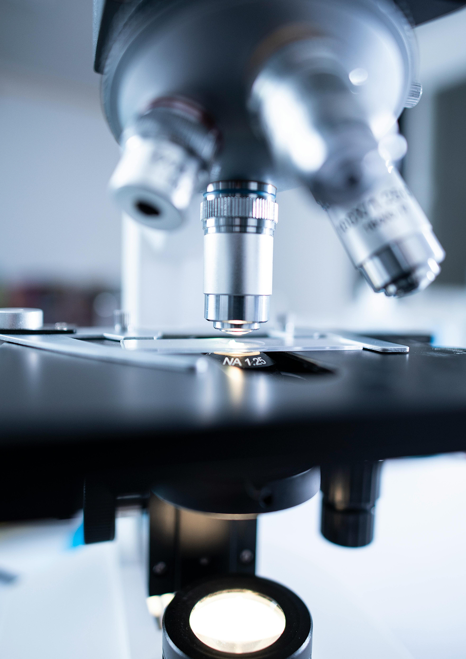Intuicyjna analiza atrybutów produktów, dzięki porównywarce wdrożonej w HAYNE